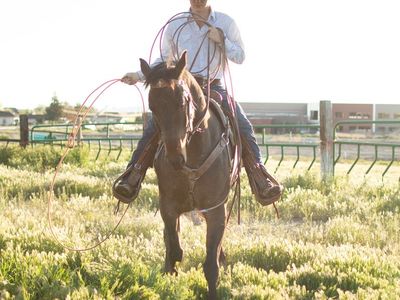 Horse trainer