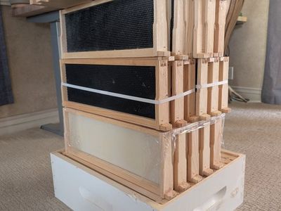 Medium supers, frames & foundation. beekeeping