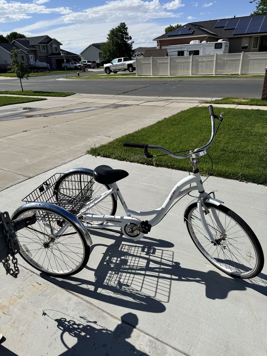 Kent Alameda adult tricycle