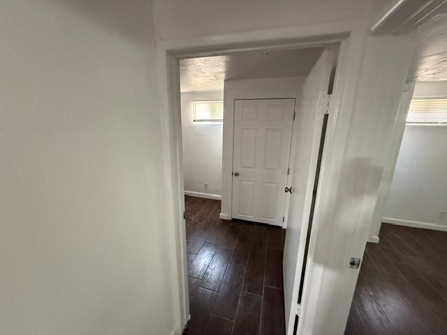 Main image 16