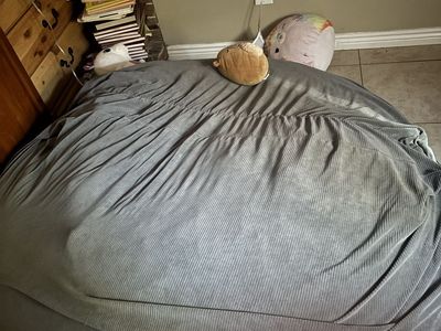 Beanbag