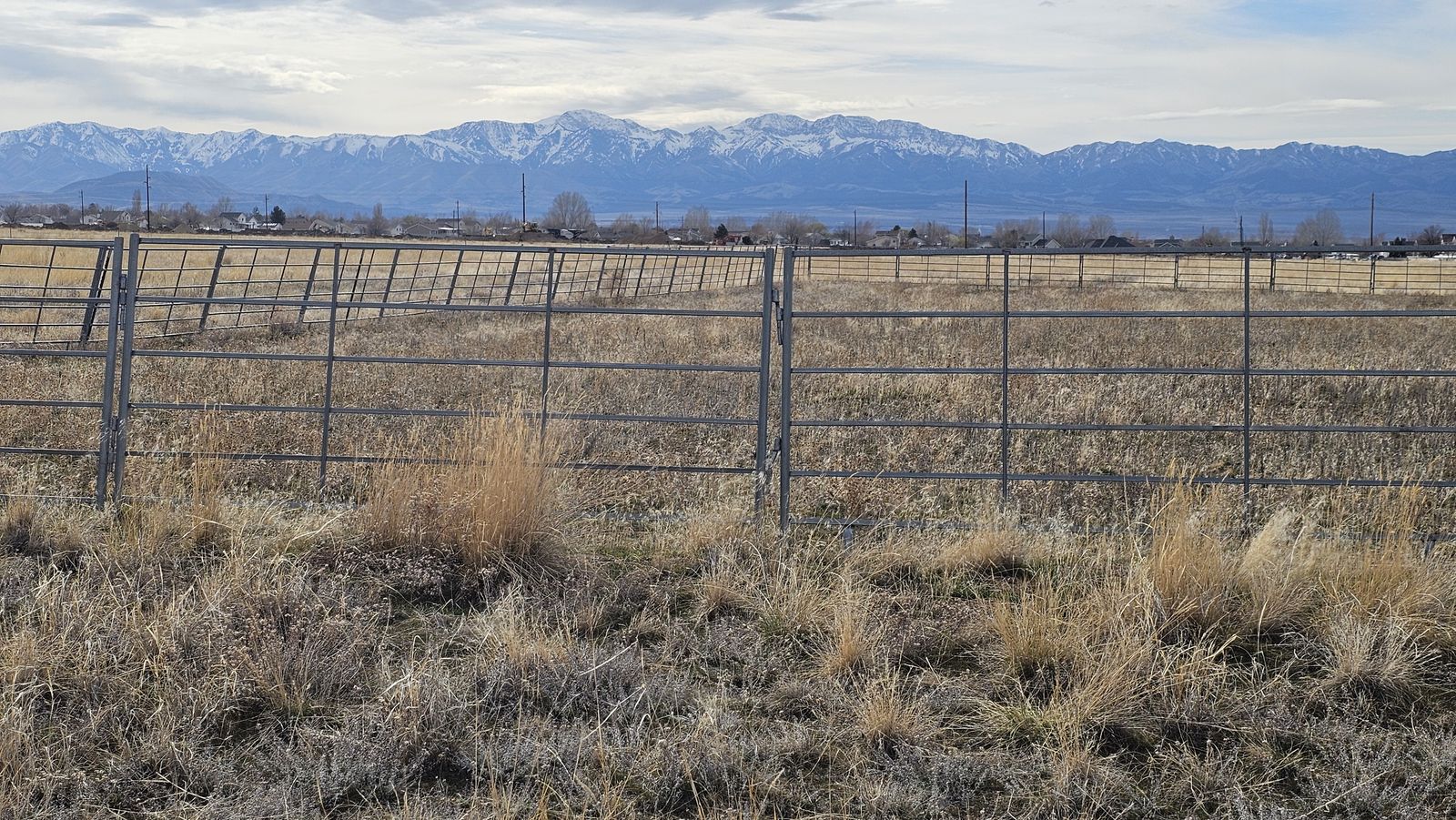 60 -10' Horse Panels - $85 each