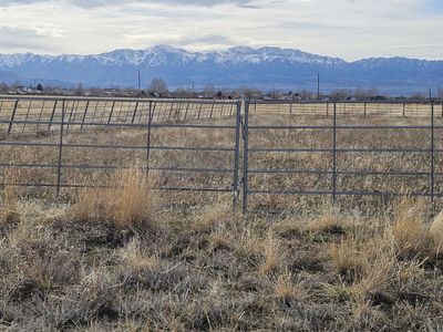 60 -10' Horse Panels - $85 each