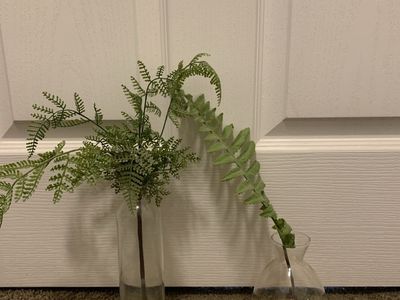 Set of 2 Clear Glass Vases with Faux Greenery Fern Stems