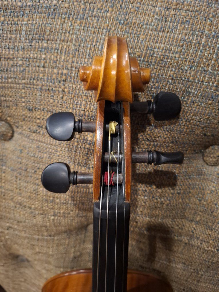 Main image 7
