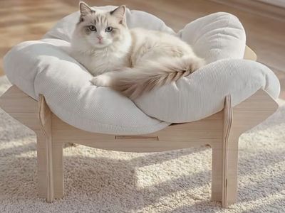 Elevated Wooden Cat Bed Frame with Plush Cushion 22in
