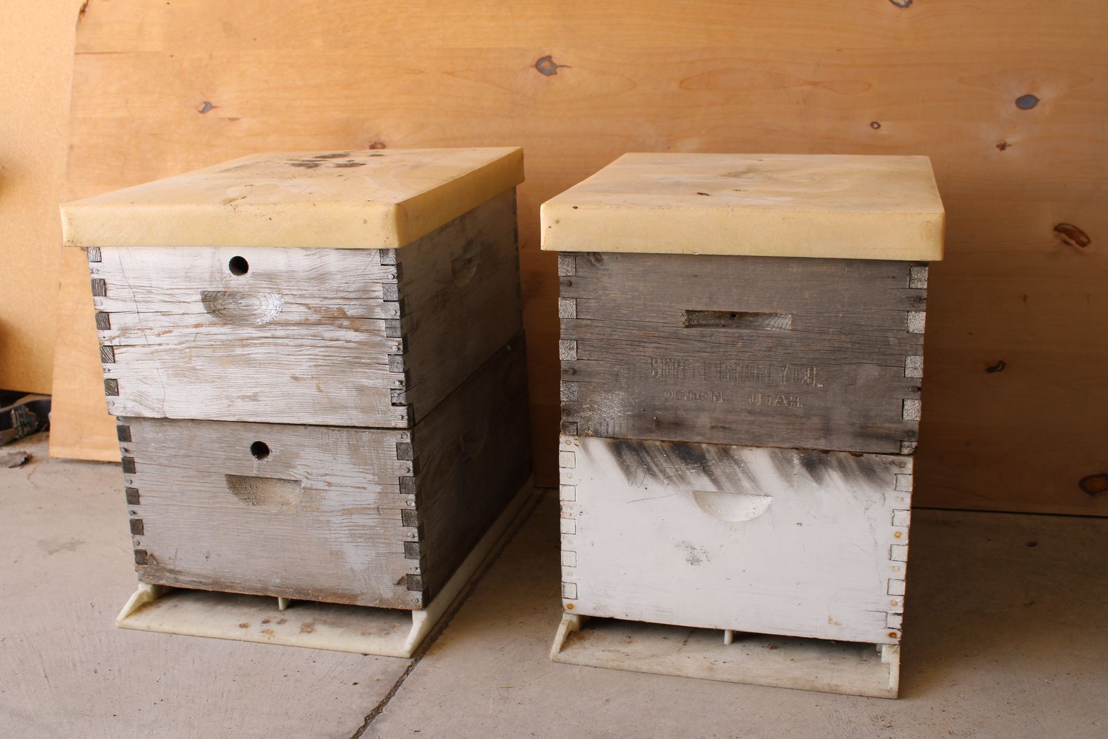 Bee Boxes / Bee Hives
