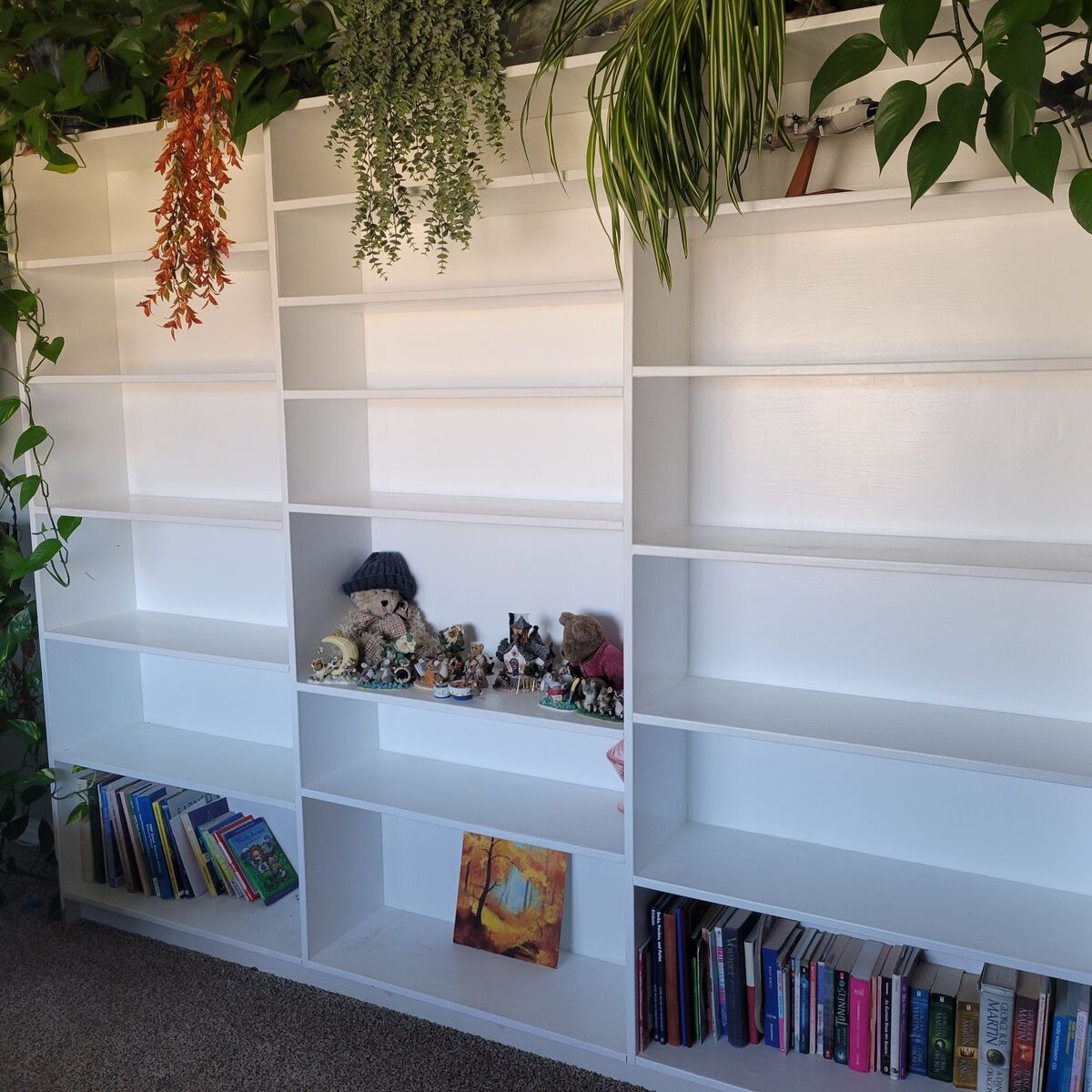 LARGE Bookshelf