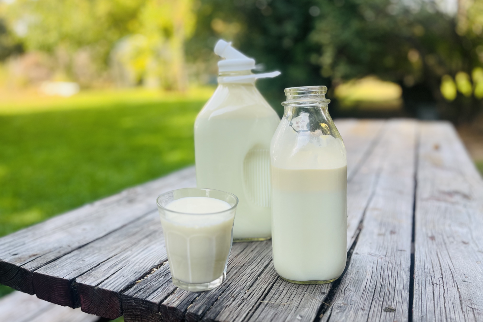 Raw A2/A2 Cow's Milk