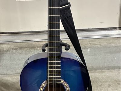 Rogue Fine Instruments SO-069-RAG-BL Acoustic Guitar - Blue, Beginner-Friendly