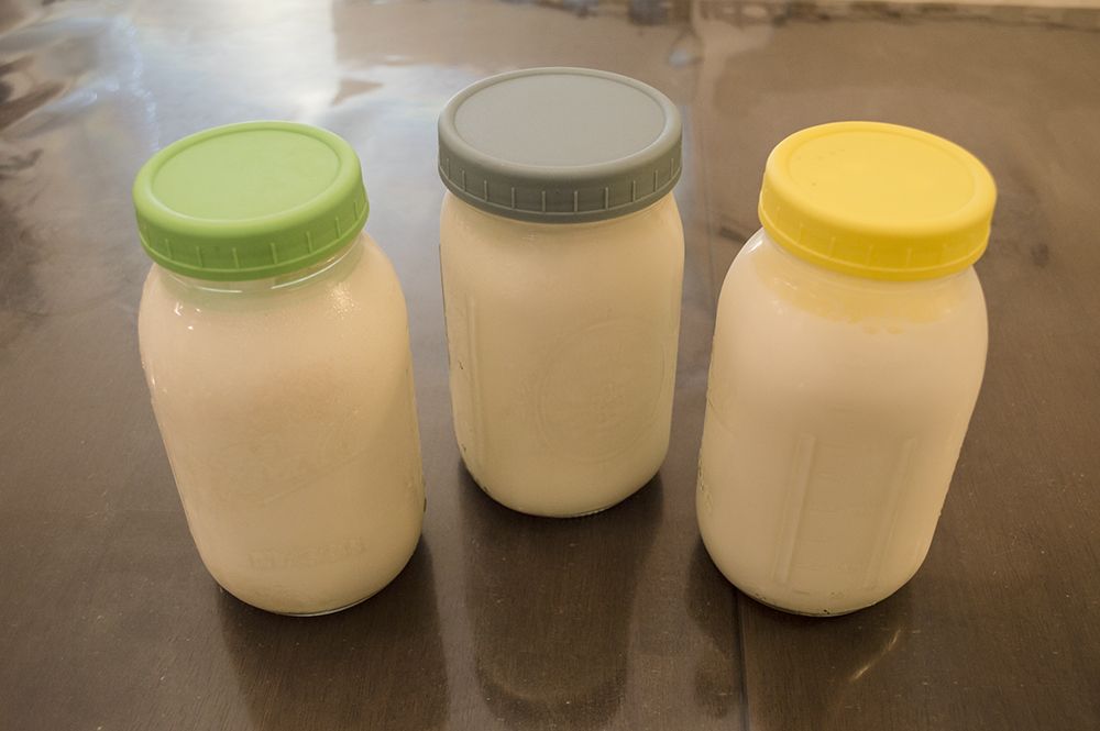 Raw Nigerian Goat's Milk