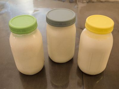 Raw Nigerian Goat's Milk