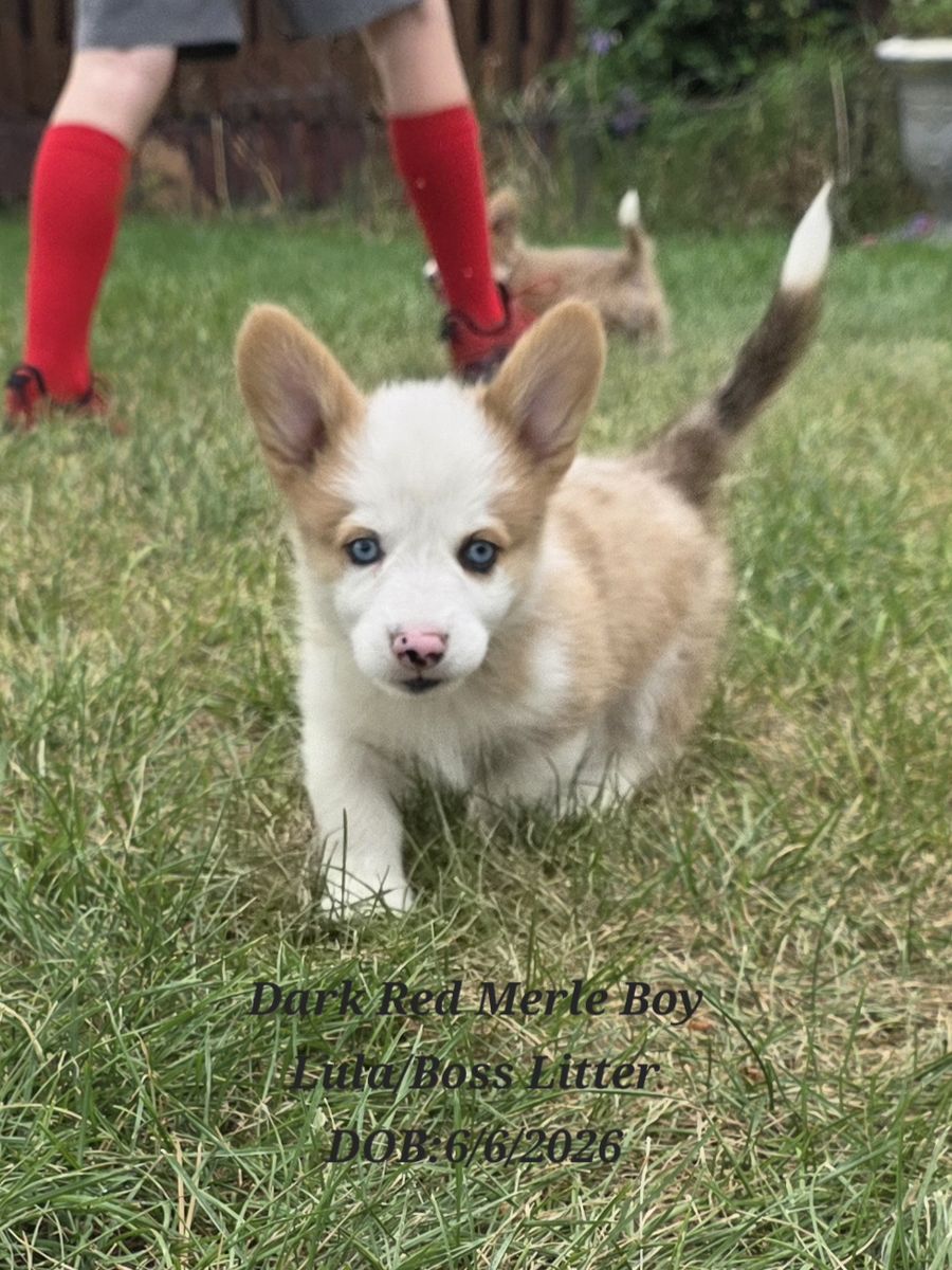 Main image 3