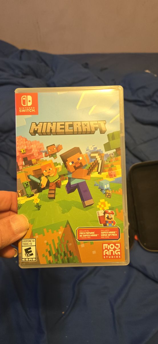 Minecraft Nintendo switch
