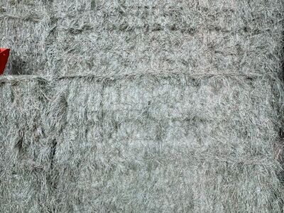 Beautiful Grass Horse Hay