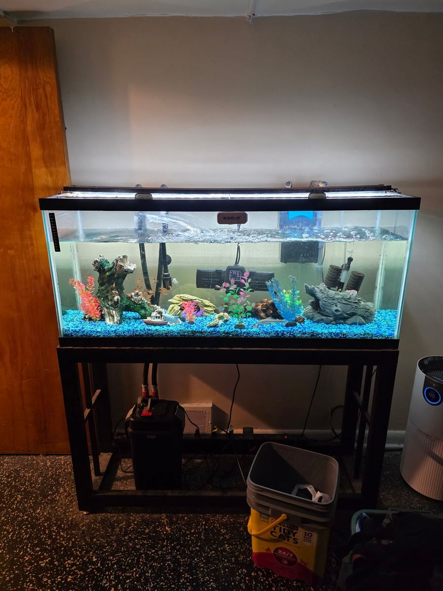 50 Gallon Glass Aquarium with Stand and Accessories