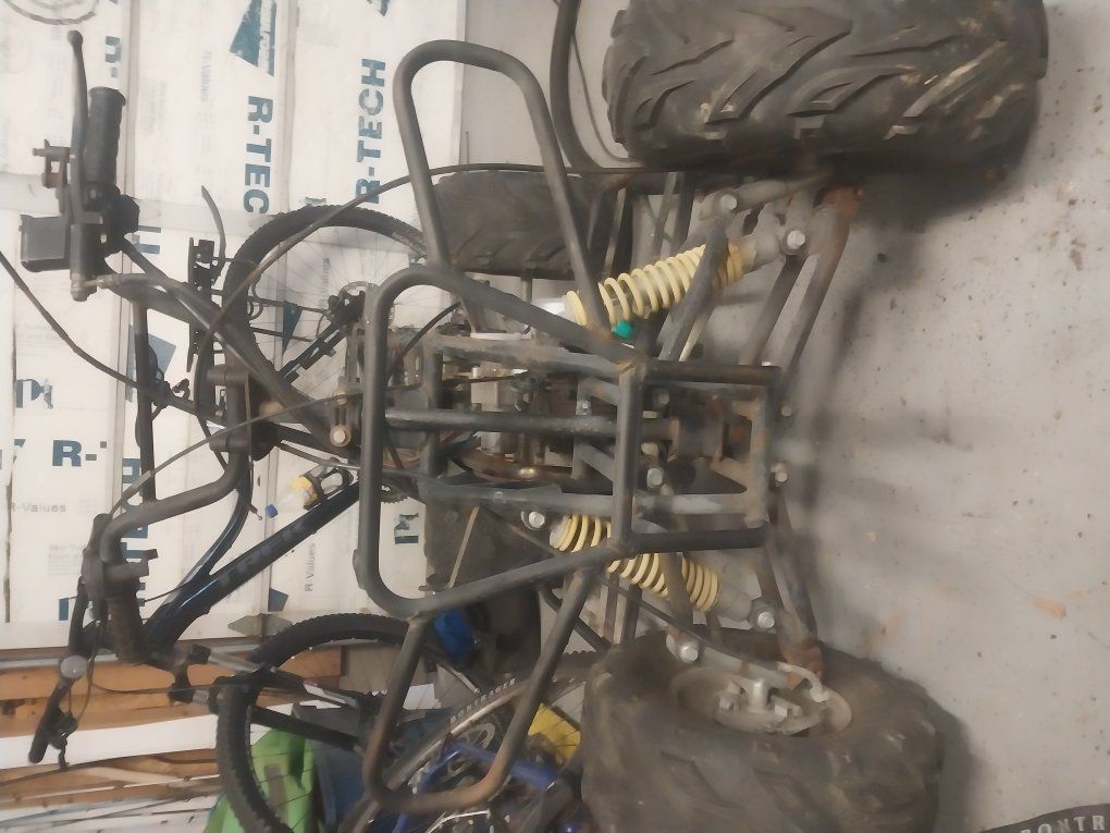TaoTao 4 Wheeler