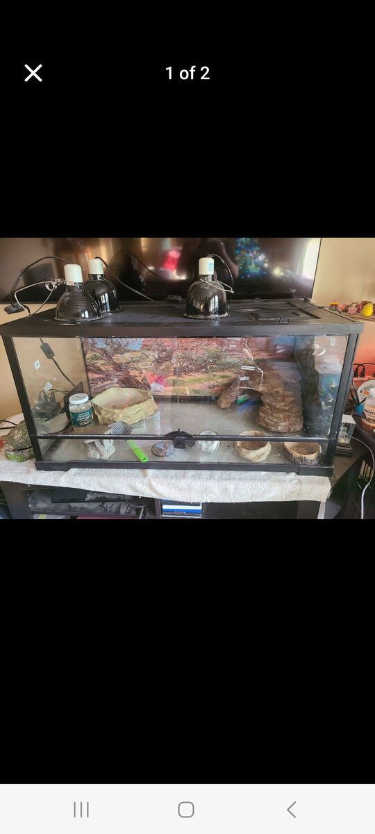 50 gal Reptile front opening aquarium 250.00