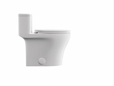 Dual flush toilet