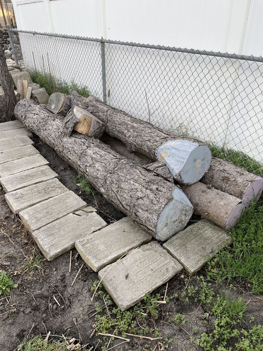 Ponderosa And Blue Spruce Logs
