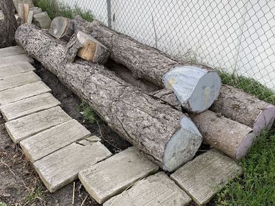 Ponderosa And Blue Spruce Logs
