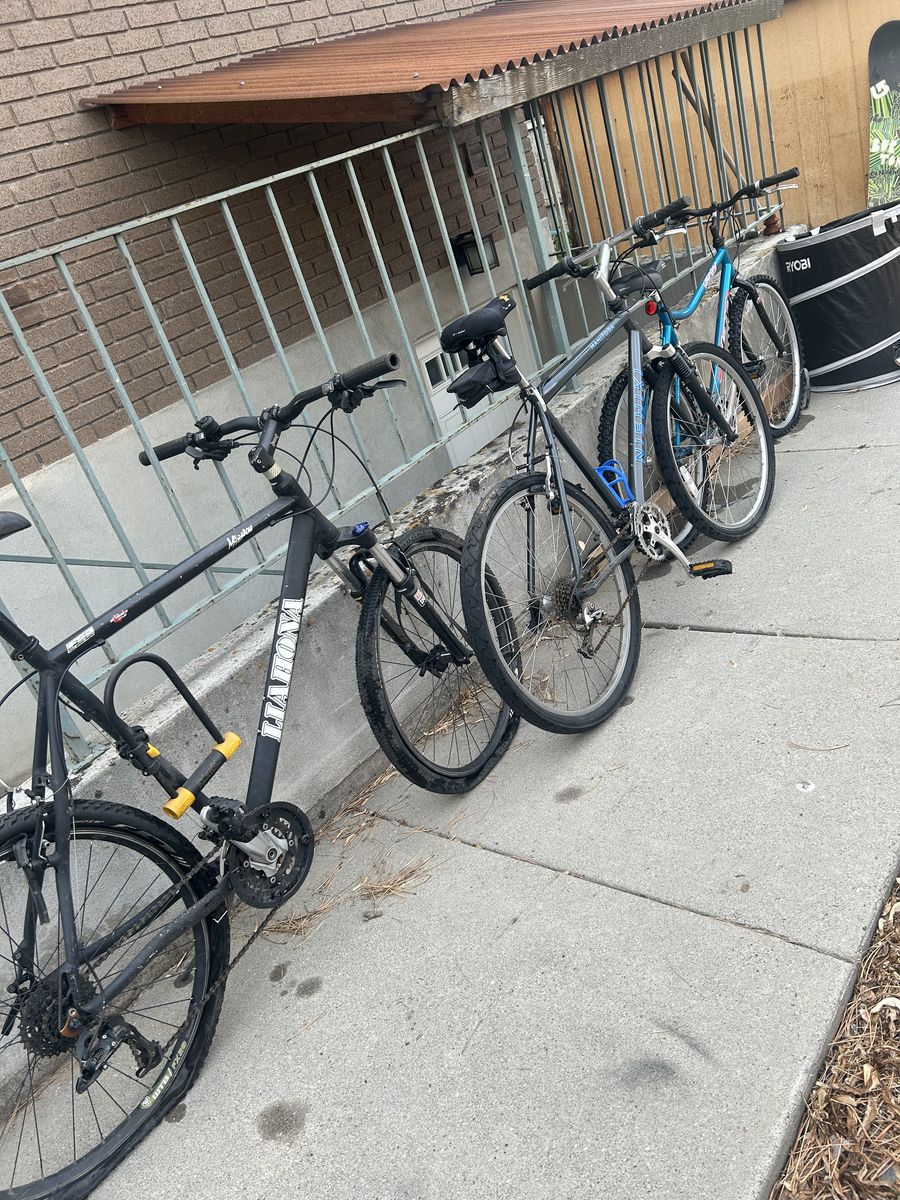 3 Project Bikes - Nishiki, Haro and Liahona