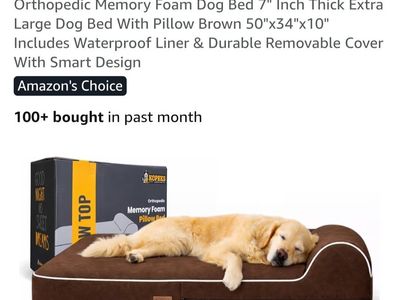 used xl pet bed