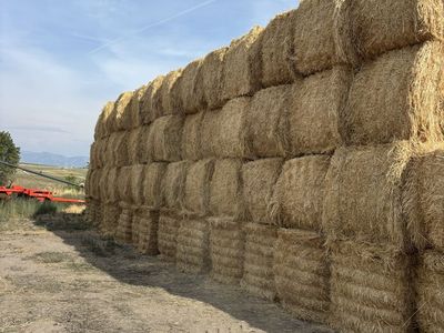 Straw for sale