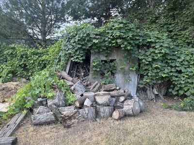 Firewood