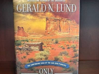Lot of LDS Books including series