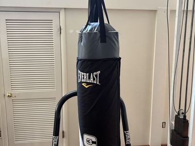 Everlast Heavy Punching Bag with Stand
