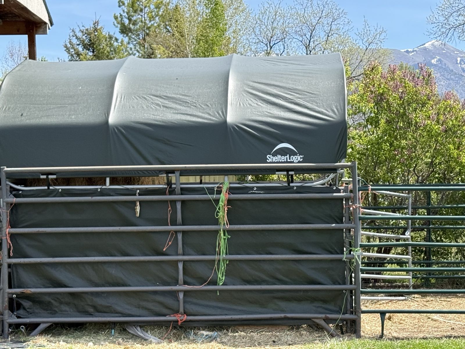 ShelterLogic Corral/shed and metal corral panels