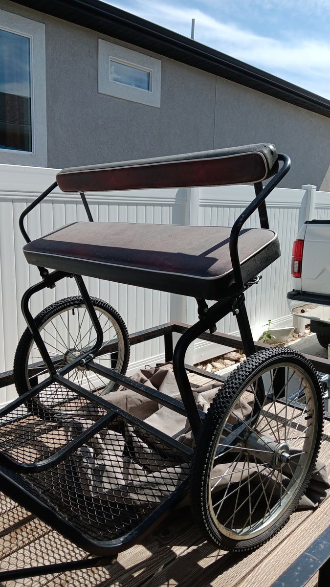 Black Metal Pony/Small Horse Cart with Padded Seat for Driving & Training