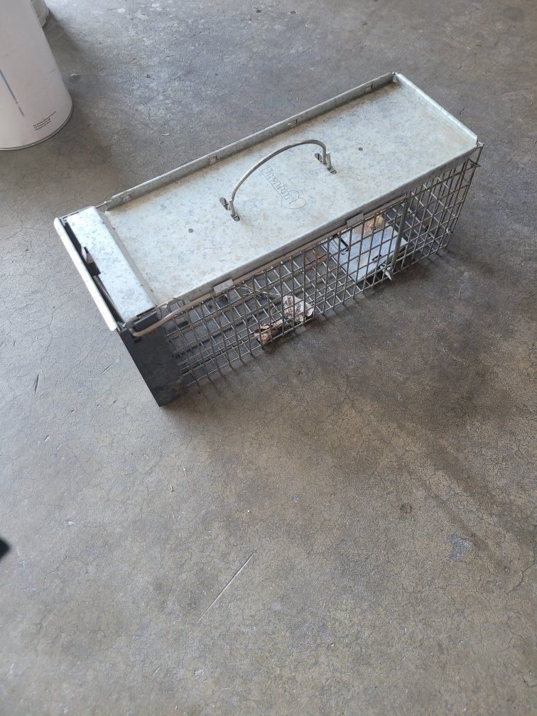 Havahart Live Animal Cage Trap with Metal Hand Guard