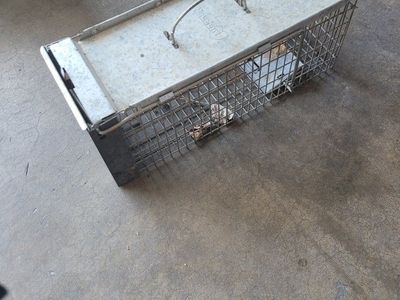 Havahart Live Animal Cage Trap with Metal Hand Guard