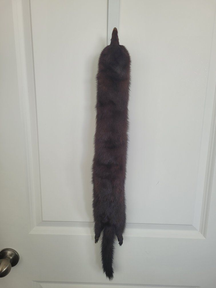 Vintage Dark Brown Mink Fur Stole/Scarf with Tails - Luxuriously Soft