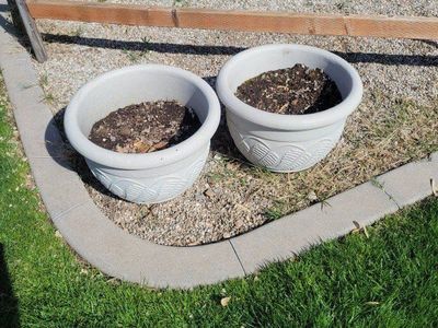 white flower pot/planter