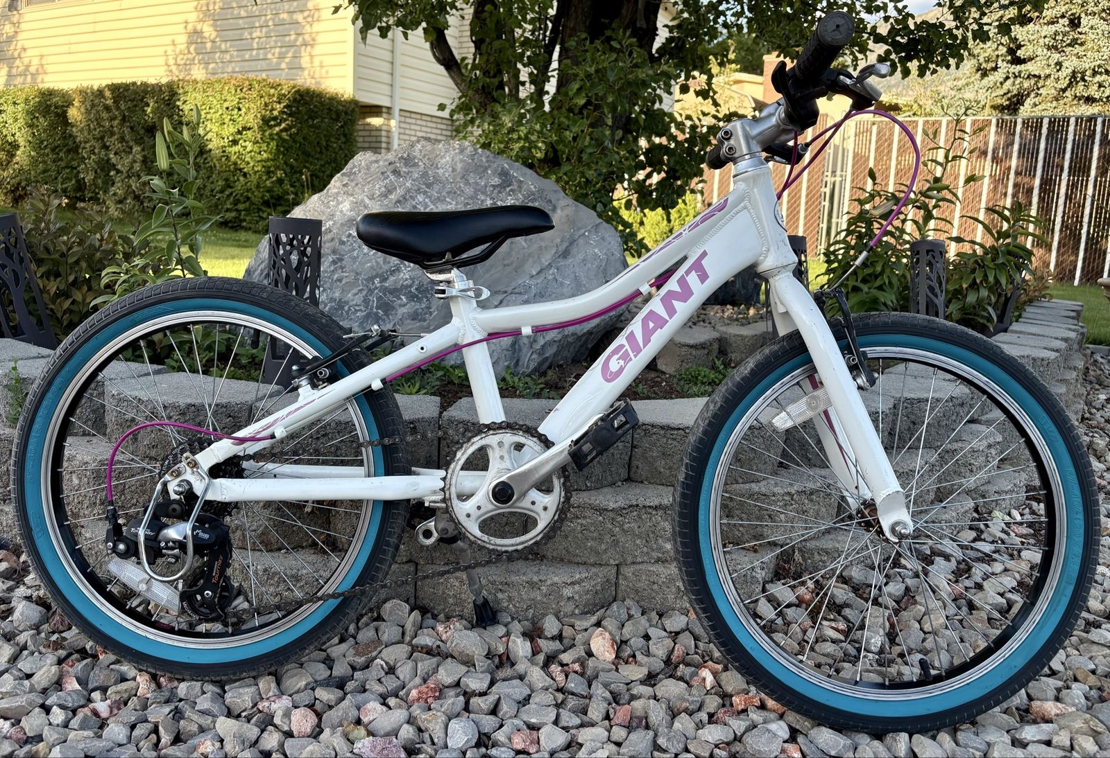 20” Giant 7 speed bike ready to ride
