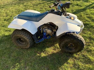 91 Suzuki Quadrunner 160