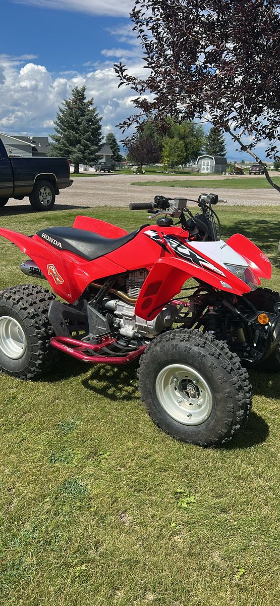 Honda TRX 250X SportQuad 