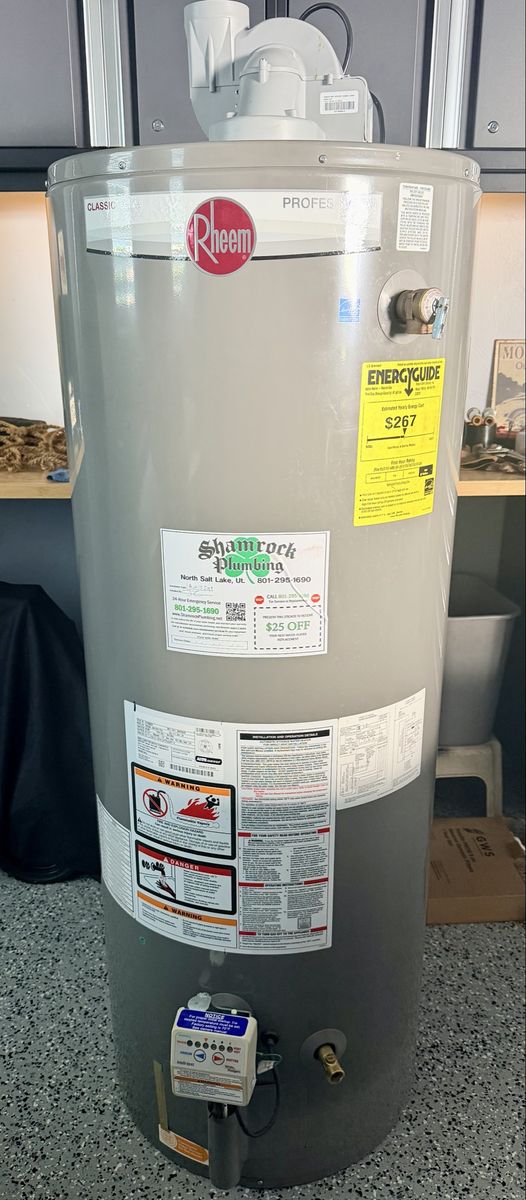 Rheem 50gal Direct Vent Water Heater