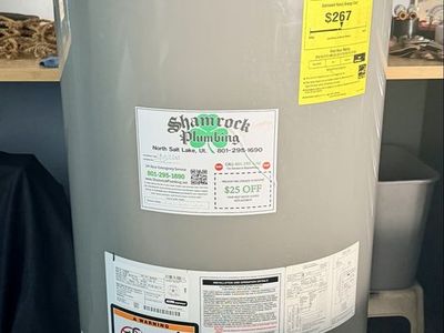Rheem 50gal Direct Vent Water Heater