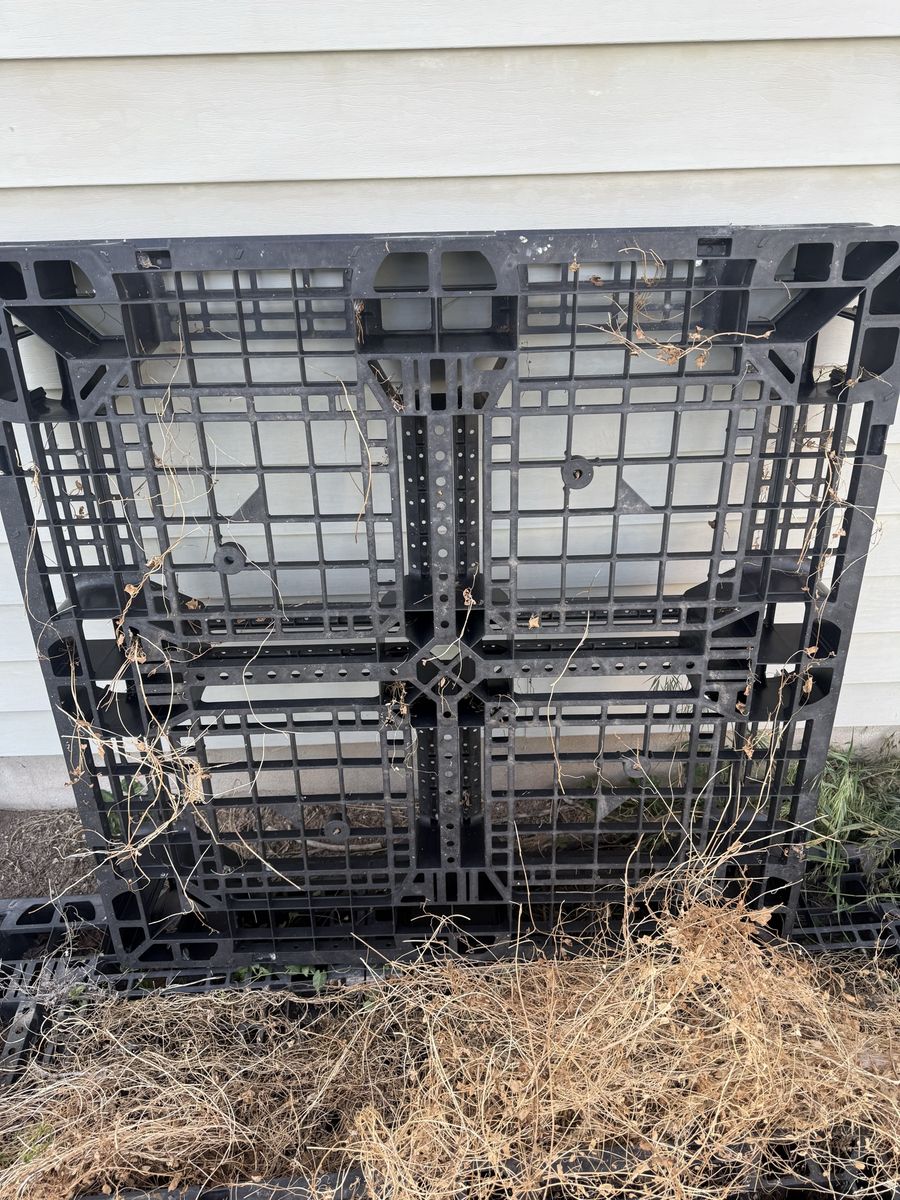 Plastic pallet