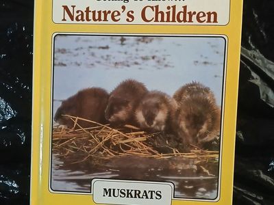 Vintage Hardcover- Getting To Know... Nature's Children: Muskrats/ Salmon (double-sided flip book) book 7