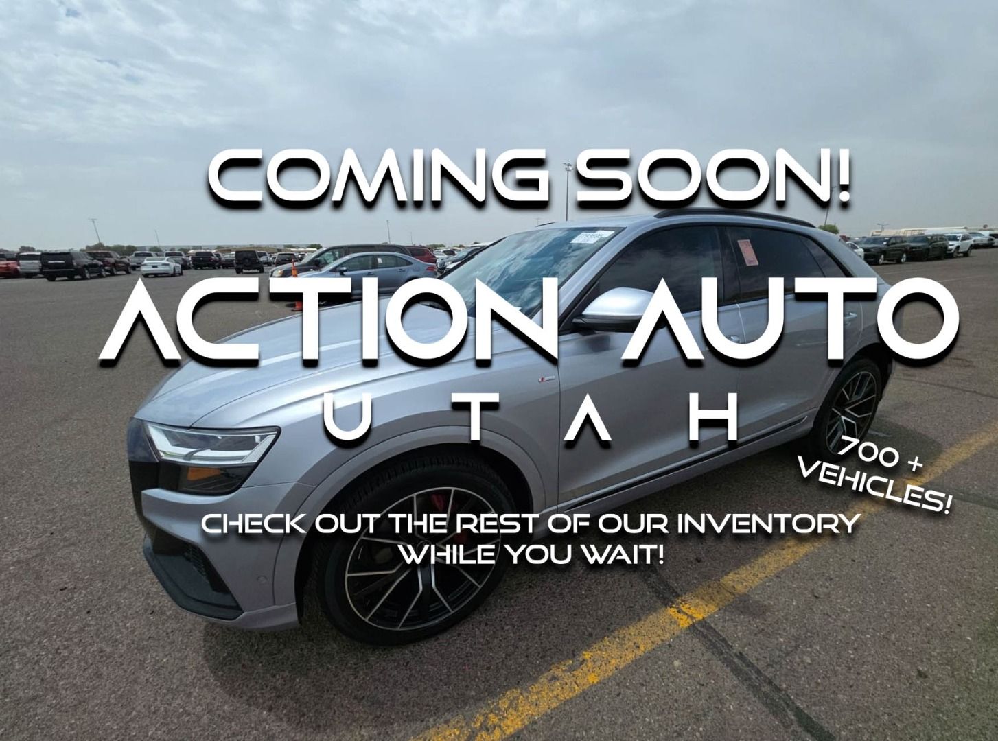 2021 Audi Q8 quattro Premium Plus 55 TFSI