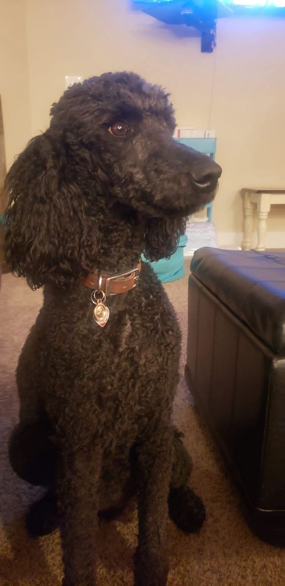 Main image 26