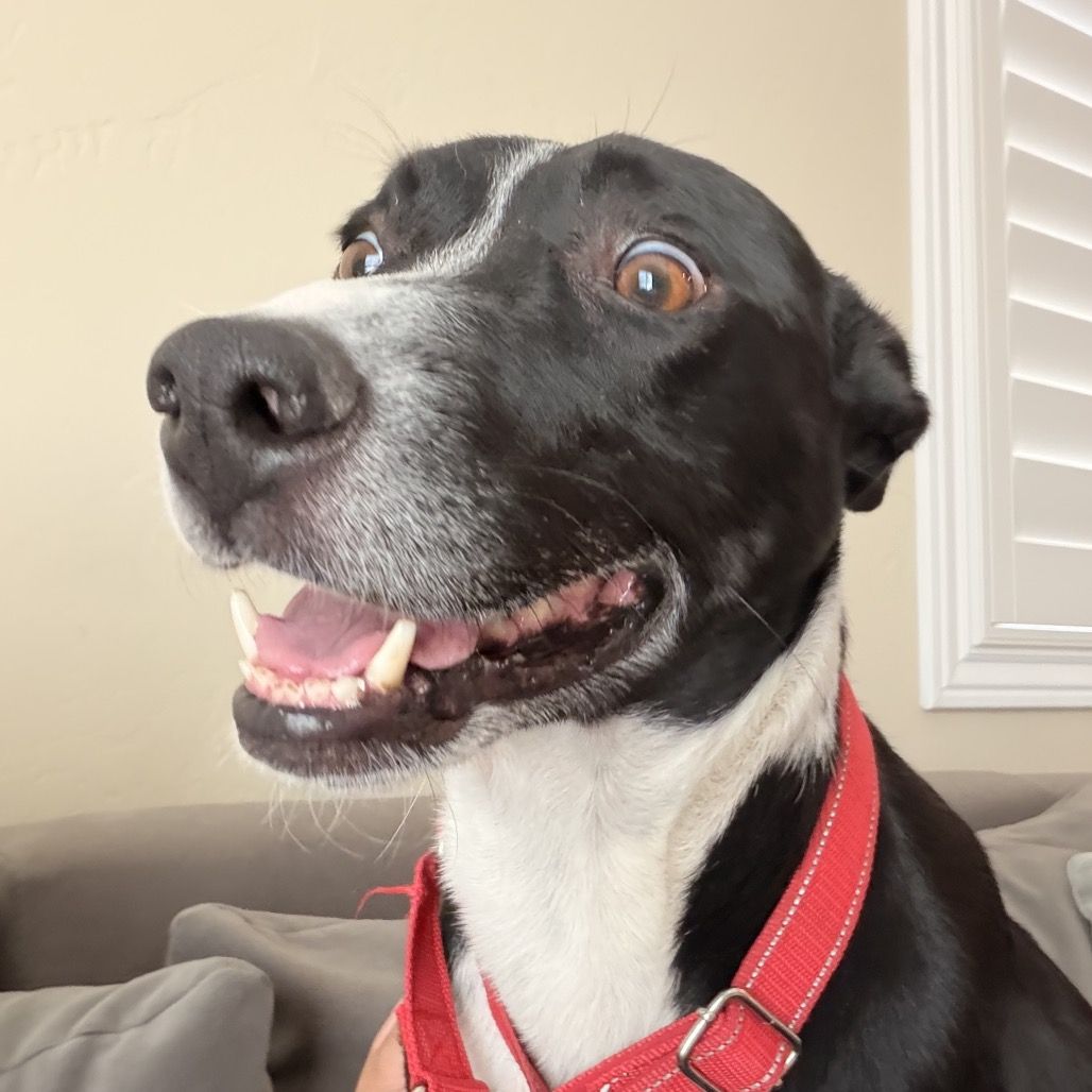 Hello my name is Max
