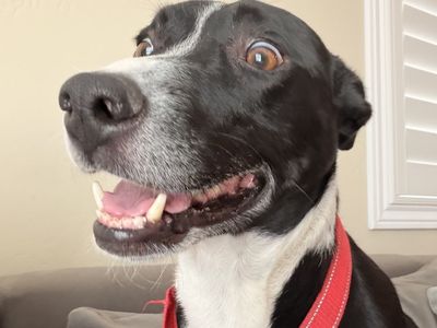 Hello my name is Max