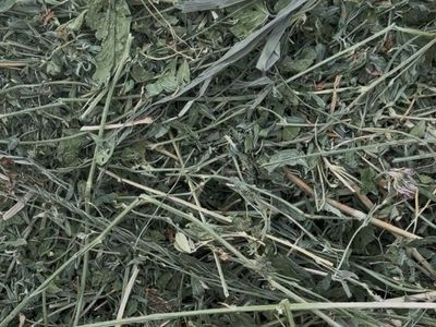 Small bales - Hay Cow Goat