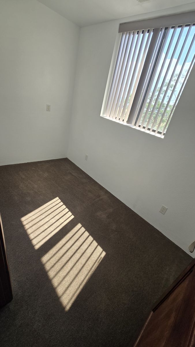 Main image 11